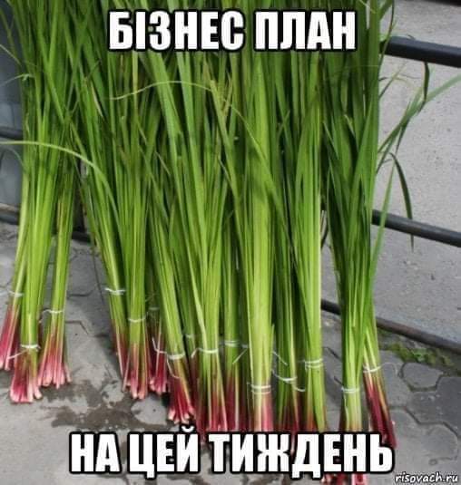 изображение_viber_2020-06-02_08-38-48.jpg