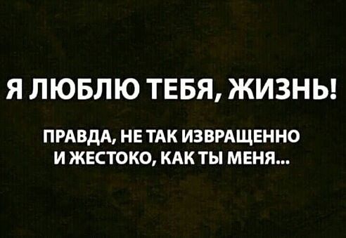 изображение_viber_2020-06-02_10-38-59.jpg