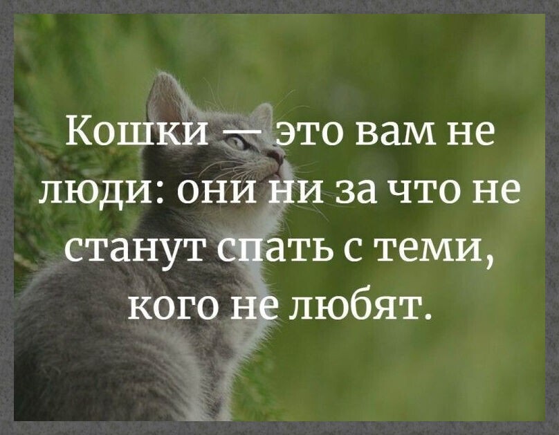изображение_viber_2020-06-02_11-49-19.jpg