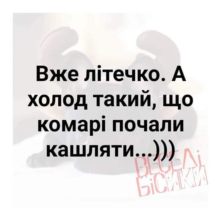 изображение_viber_2020-06-02_12-38-14.jpg
