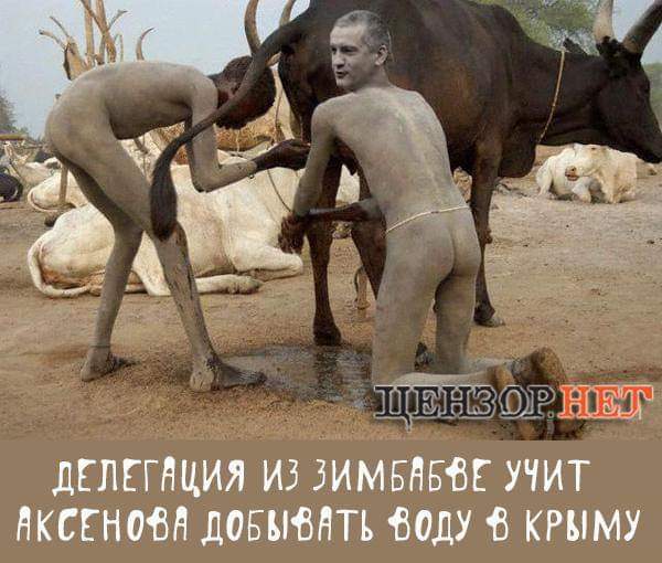 изображение_viber_2020-06-02_13-41-55.jpg