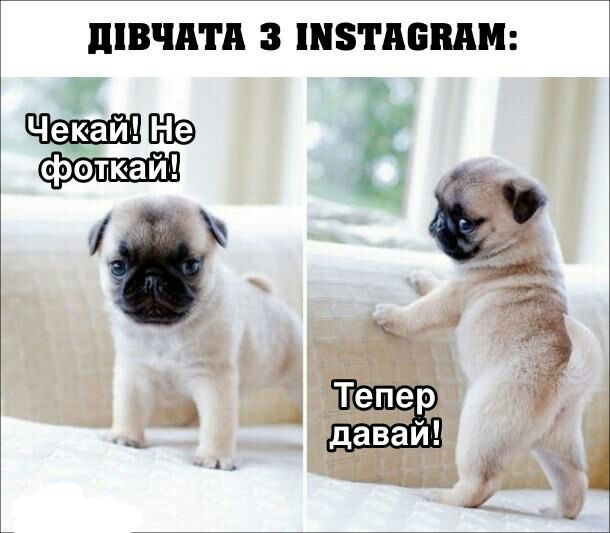 изображение_viber_2020-06-02_21-13-31.jpg