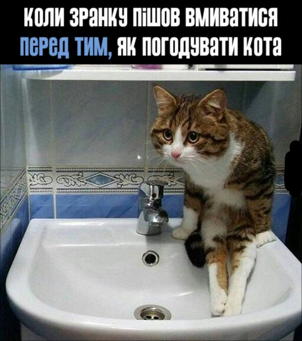 изображение_viber_2020-06-02_22-09-52.jpg