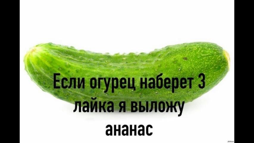 изображение_viber_2020-06-03_18-47-41.jpg