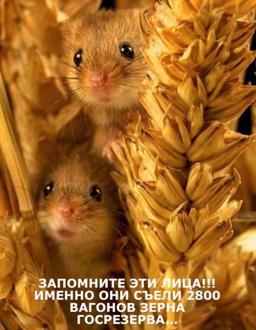 изображение_viber_2020-06-03_21-35-20.jpg
