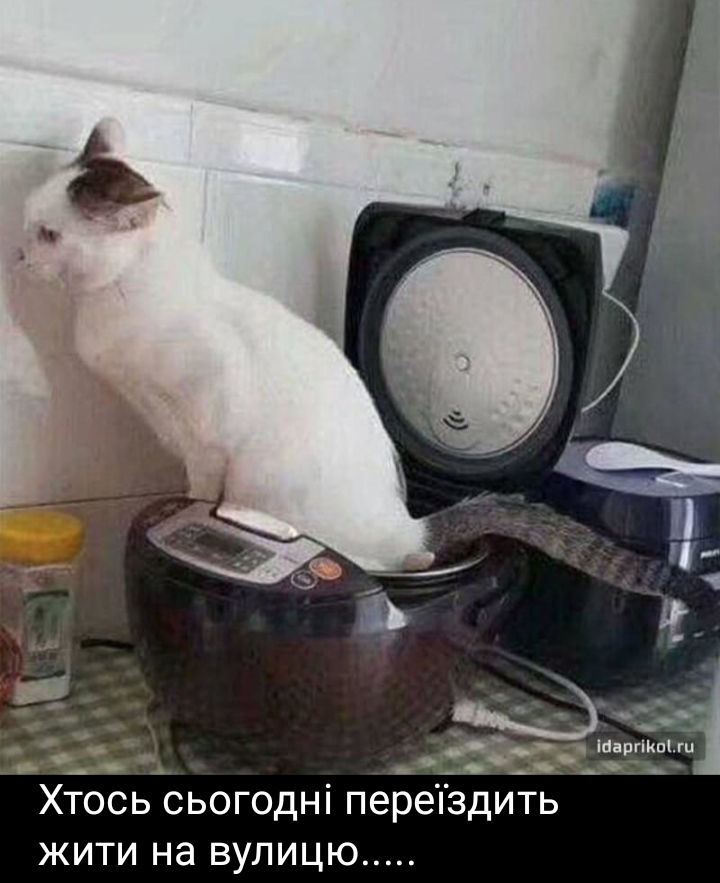 изображение_viber_2020-06-04_08-13-48.jpg
