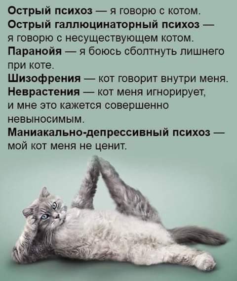 изображение_viber_2020-06-04_21-11-17.jpg