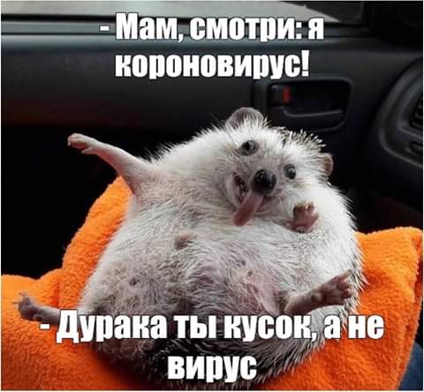 изображение_viber_2020-06-04_21-11-18.jpg