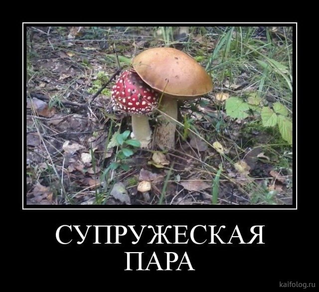 изображение_viber_2020-06-05_09-18-00.jpg