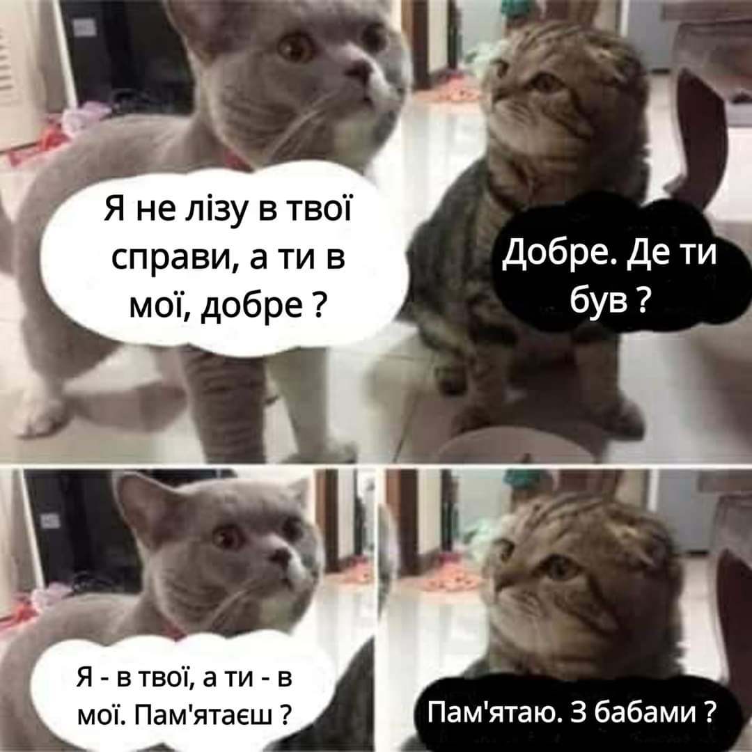 изображение_viber_2020-06-05_12-03-14.jpg