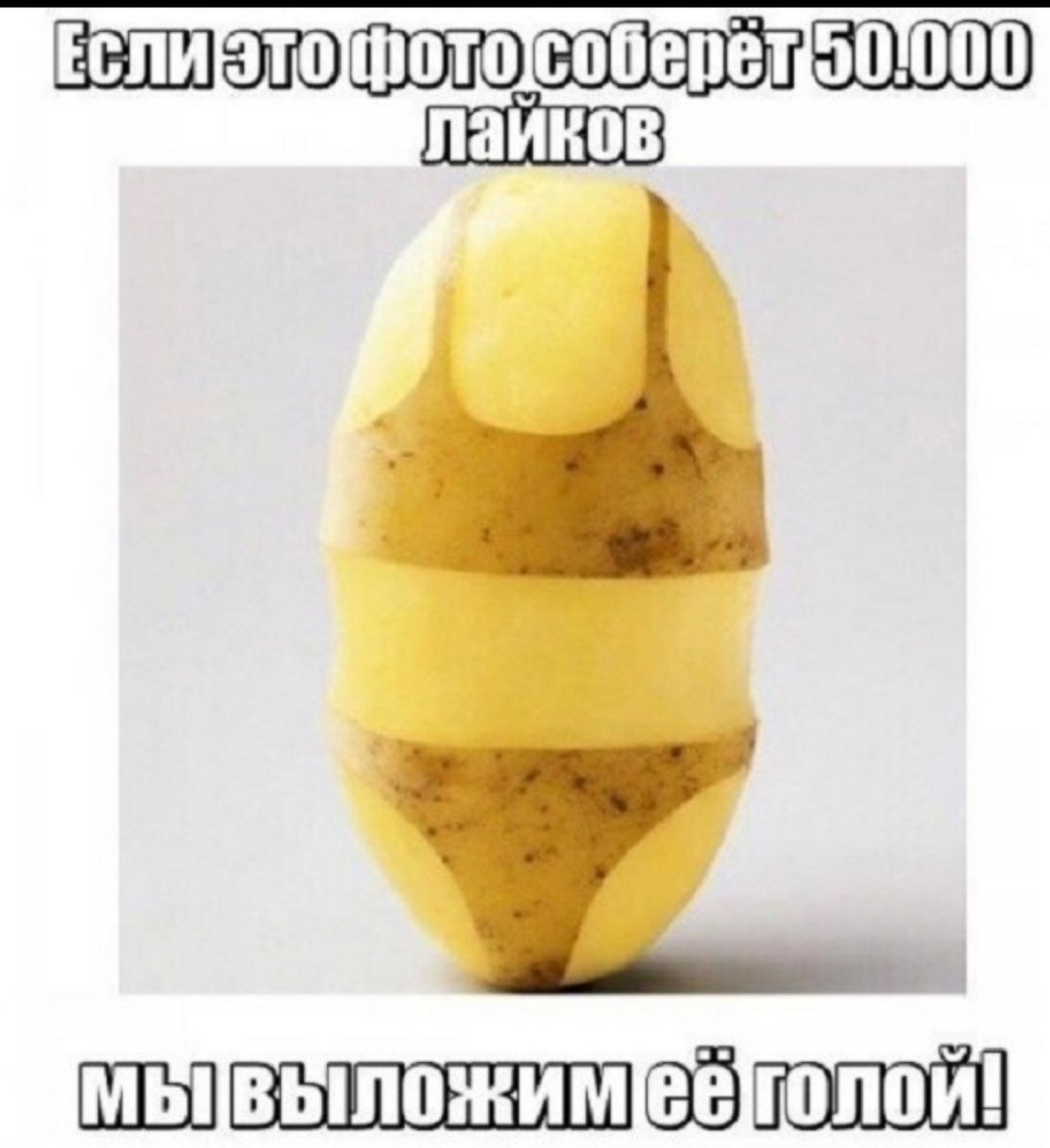 изображение_viber_2020-06-06_18-20-25.jpg