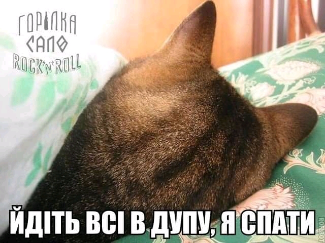 изображение_viber_2020-06-07_07-04-18.jpg