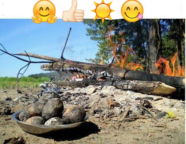 изображение_viber_2020-06-08_10-19-09.jpg