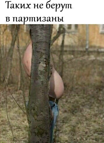 изображение_viber_2020-06-08_17-56-46.jpg