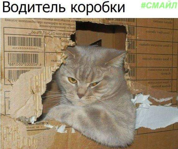 изображение_viber_2020-06-10_13-31-45.jpg