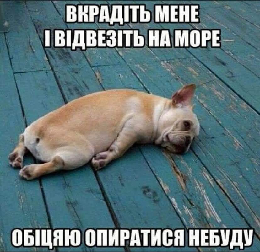 изображение_viber_2020-06-10_13-44-44.jpg
