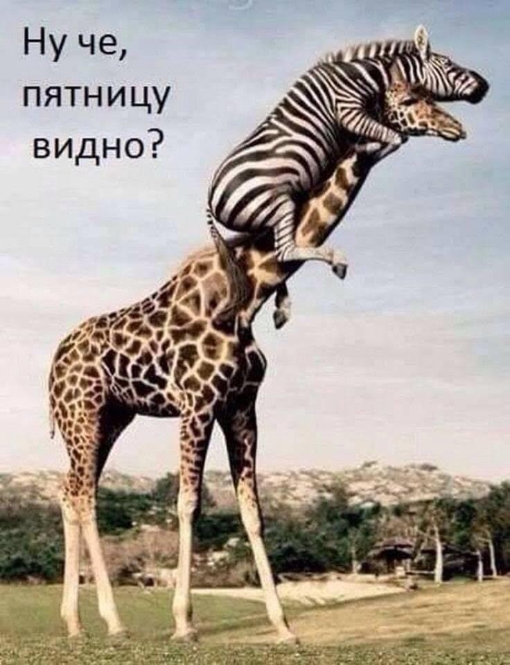 изображение_viber_2020-06-11_09-14-07.jpg