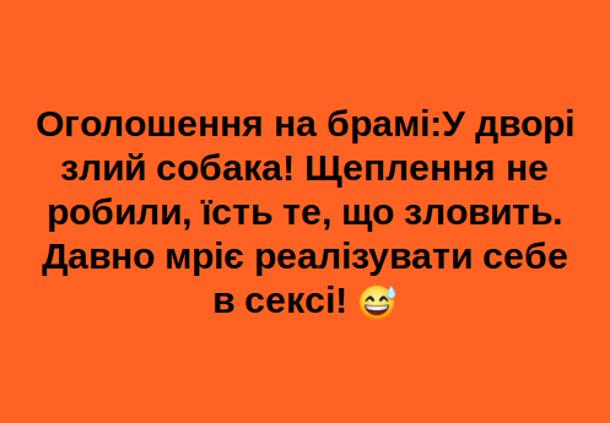 изображение_viber_2020-06-11_22-39-33.jpg