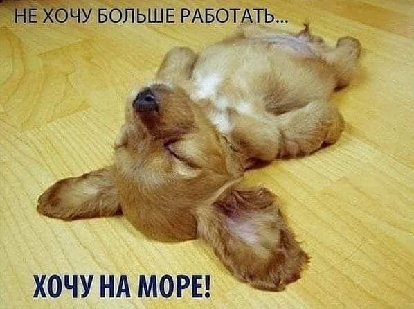 изображение_viber_2020-06-11_23-02-25.jpg