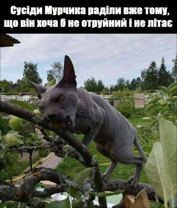изображение_viber_2020-06-11_23-44-10.jpg