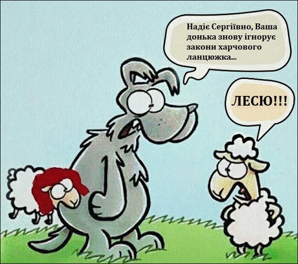 изображение_viber_2020-06-12_10-04-47.jpg