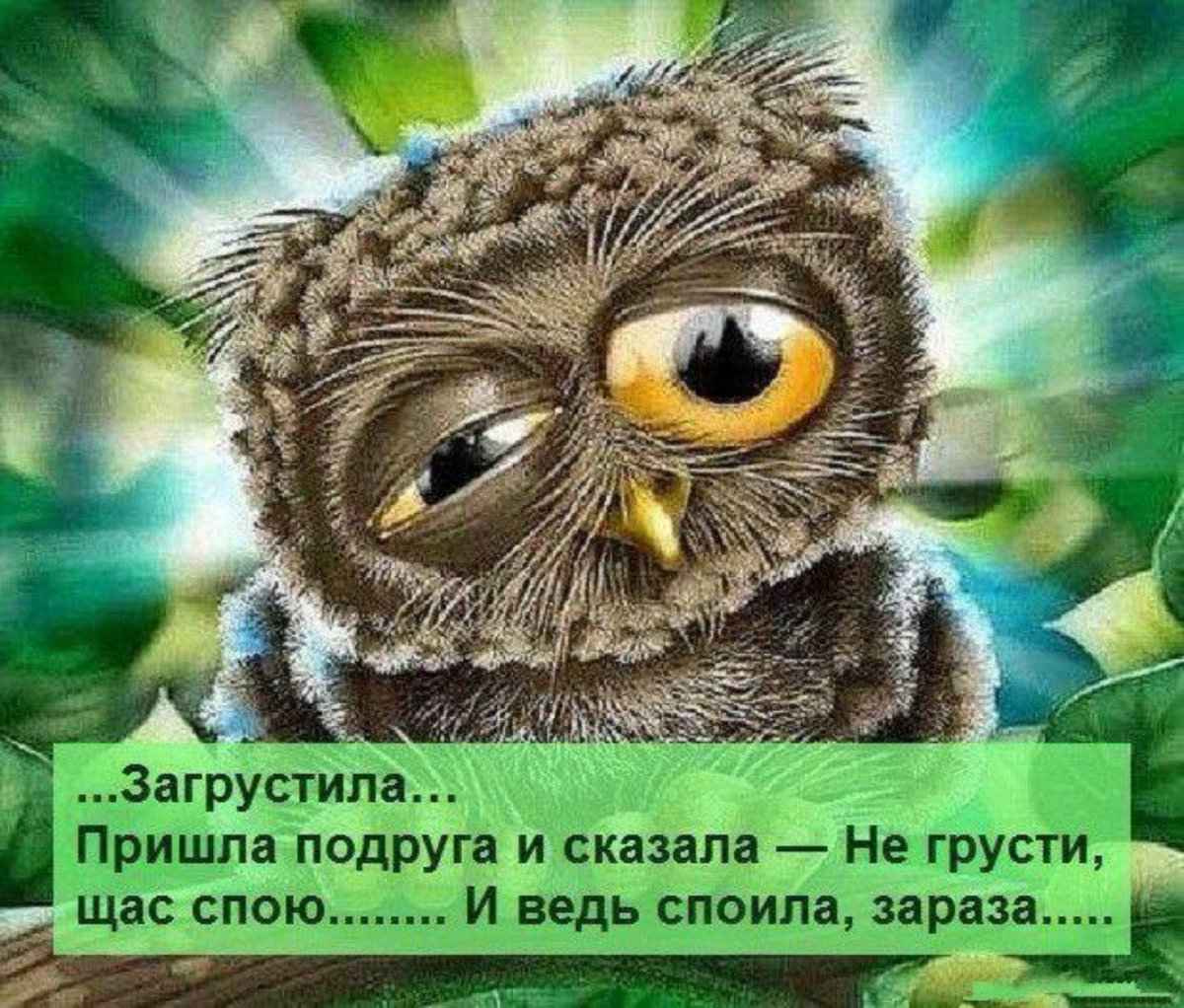 изображение_viber_2020-06-13_17-55-17.jpg