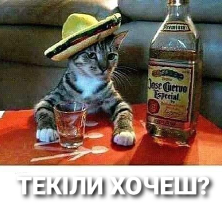 изображение_viber_2020-06-13_20-45-38.jpg