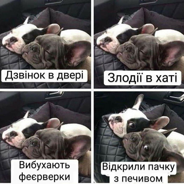 изображение_viber_2020-06-15_17-51-18.jpg
