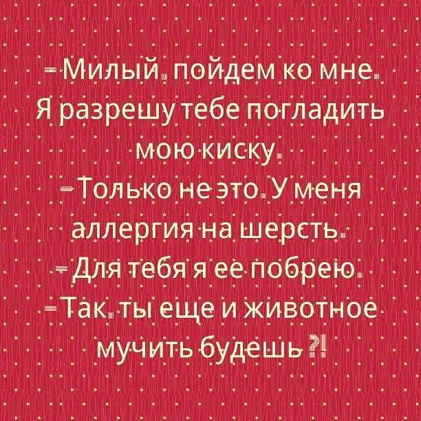 изображение_viber_2020-06-16_15-59-43.jpg