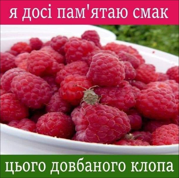 изображение_viber_2020-06-19_22-43-02.jpg