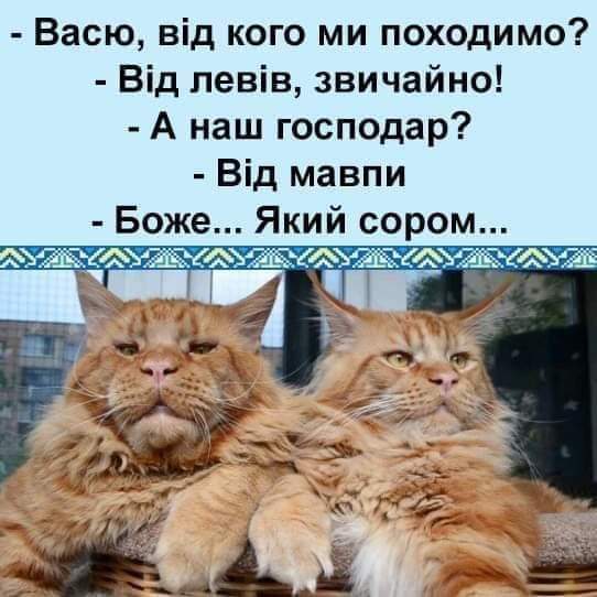 изображение_viber_2020-06-26_07-18-56.jpg