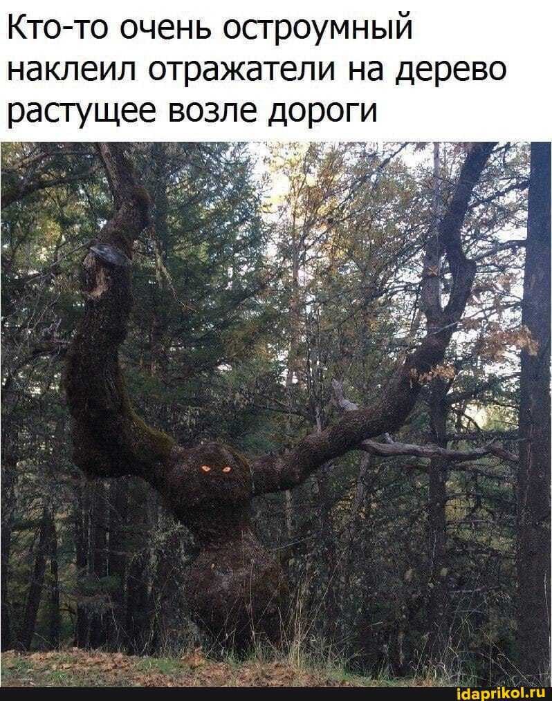 изображение_viber_2020-07-04_13-03-24.jpg