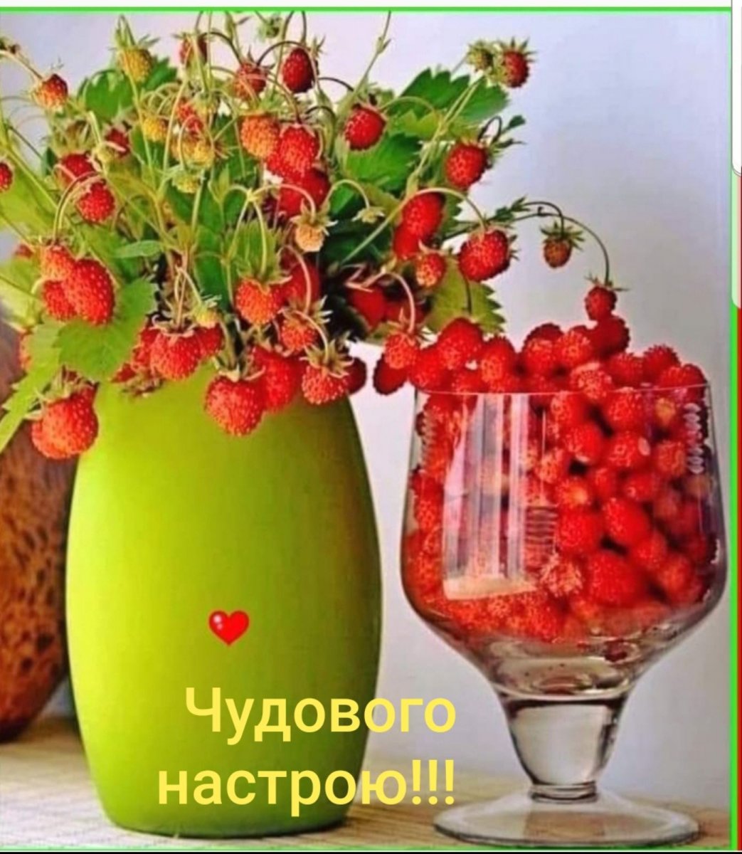 изображение_viber_2020-07-07_07-54-45.jpg