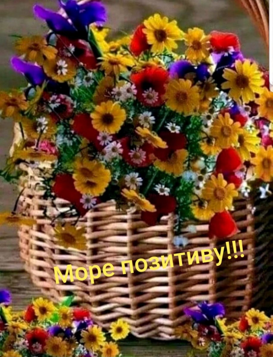 изображение_viber_2020-07-07_07-54-47.jpg