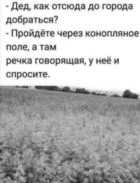 изображение_viber_2020-07-08_08-27-38.jpg