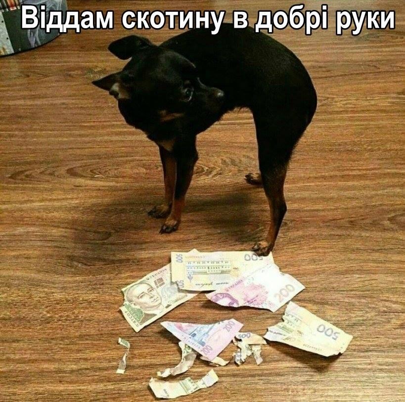 изображение_viber_2020-07-17_22-31-57.jpg