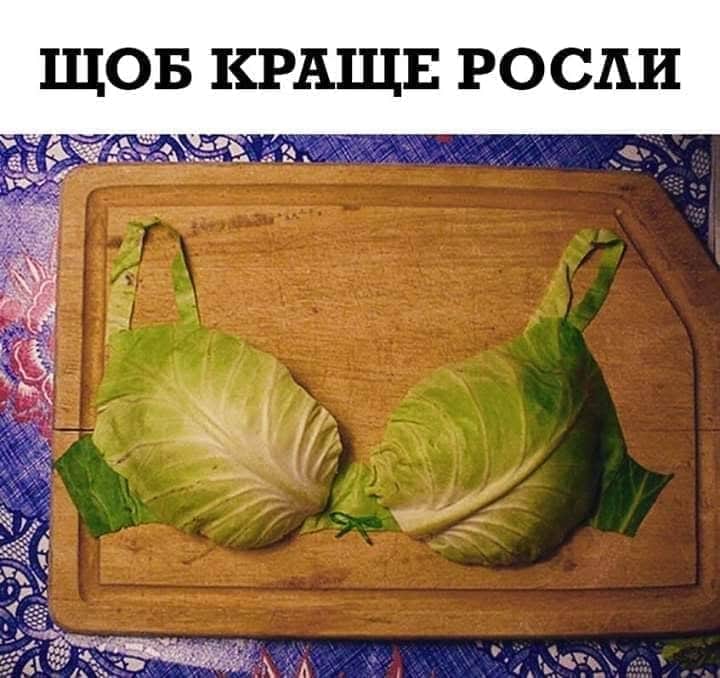 изображение_viber_2020-07-30_16-05-18.jpg