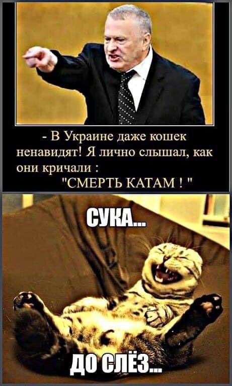 изображение_viber_2020-07-31_20-15-46.jpg