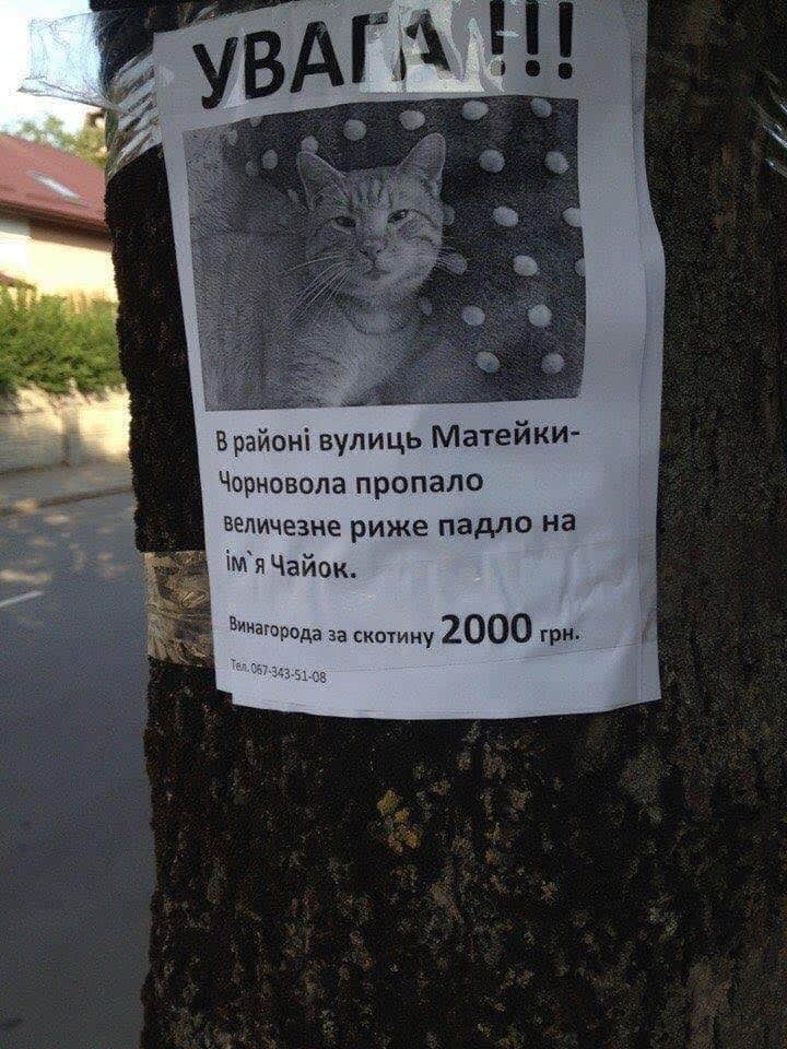 изображение_viber_2020-08-06_12-40-15.jpg
