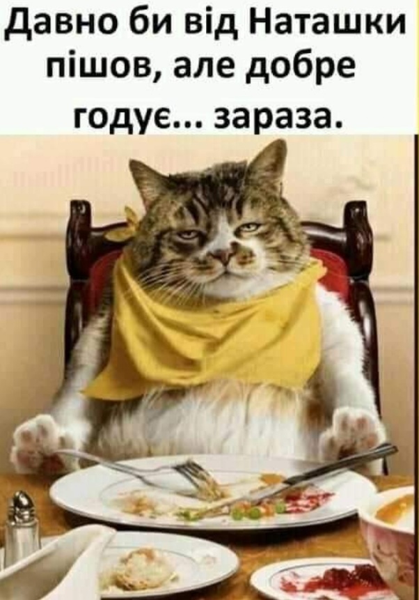 изображение_viber_2020-08-06_19-01-271.jpg