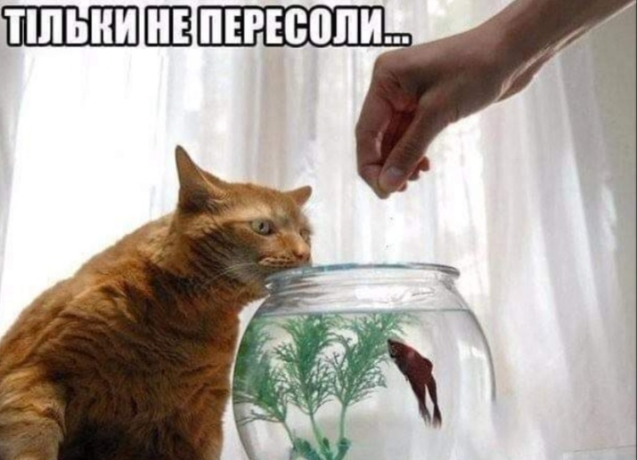 изображение_viber_2020-08-07_11-26-184.jpg
