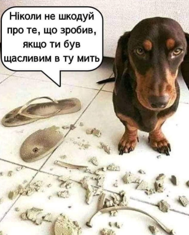 изображение_viber_2020-08-07_11-32-12.jpg