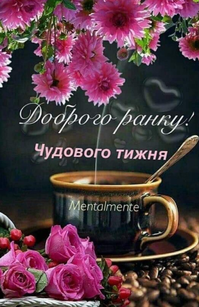 изображение_viber_2020-08-10_10-39-40.jpg
