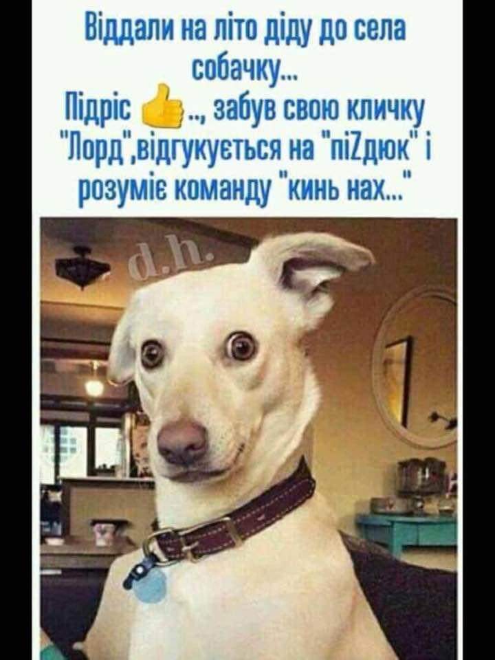 изображение_viber_2020-08-10_16-28-24.jpg