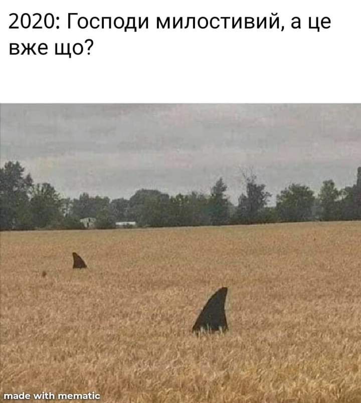 изображение_viber_2020-08-10_17-54-45.jpg