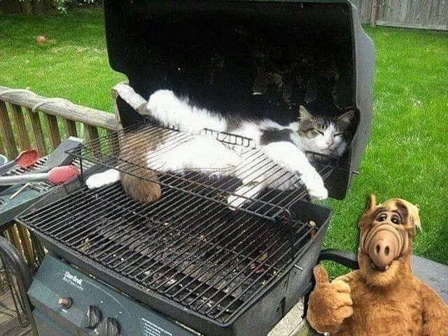 изображение_viber_2020-08-10_17-56-57.jpg