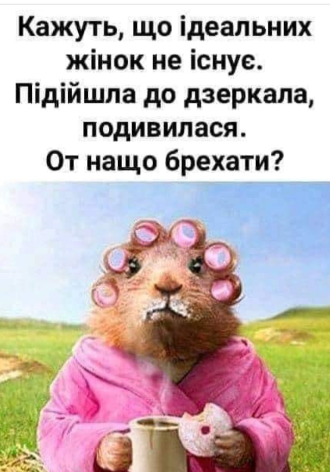 изображение_viber_2020-08-15_13-51-25.jpg