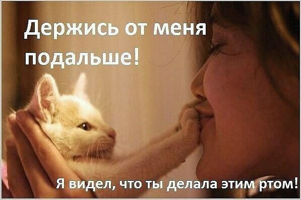 изображение_viber_2020-09-08_19-16-10.jpg