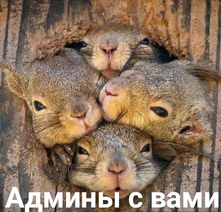 изображение_viber_2020-09-16_16-39-25.jpg