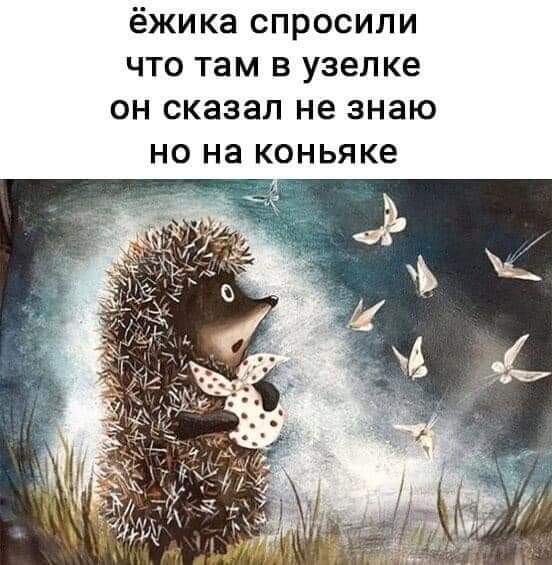 изображение_viber_2020-09-17_19-14-56.jpg